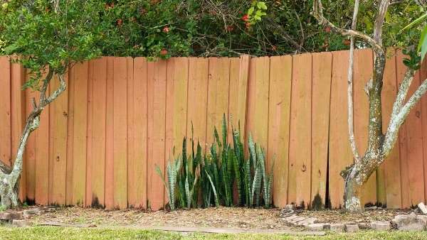 Thinking of building a fence? Read these tips first.